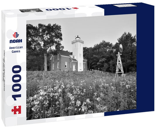 Noah Jigsaw Puzzle Old city of Wien, Austria in black white 1000 pieces