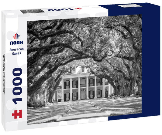 Noah Jigsaw Puzzle View over city Salzburg, Austria in black white 1000 pieces