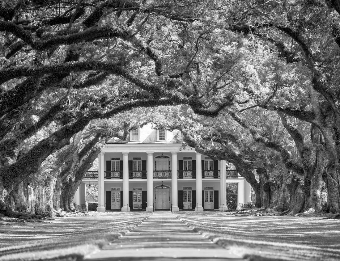Noah Jigsaw Puzzle View over city Salzburg, Austria in black white 1000 pieces
