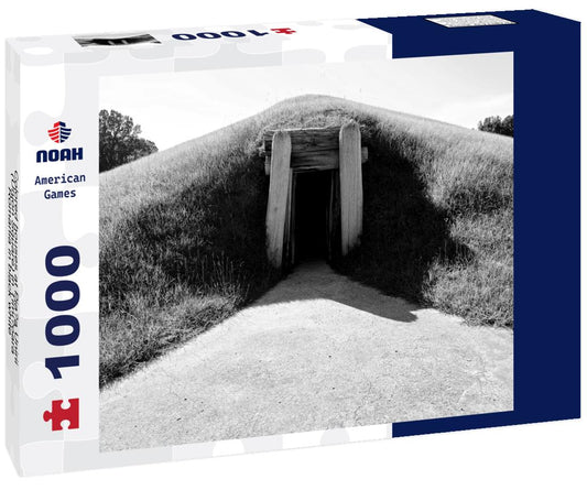 Noah Jigsaw Puzzle Colored houses at Pia?a Unirii (Union Square) in Timi?oara, Romania in black white 1000 pieces