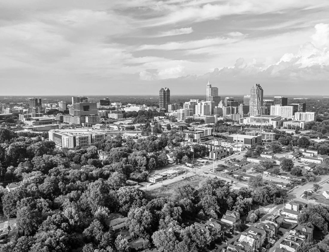 Noah Jigsaw Puzzle Morning view from Long Point Overlook on Summersville Lake, Nicholas County, West Virginia, USA in black white 1000 pieces