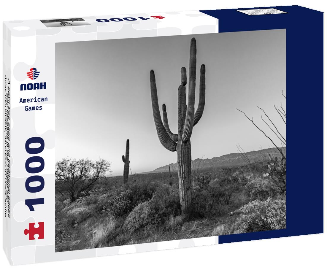 Noah Jigsaw Puzzle A palm tree oasis and traditional adobe clay kasbahs in the Tinghir city, Atlas mountains, Morocco in black white 1000 pieces