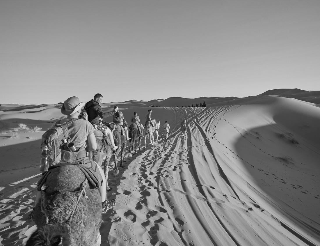 Noah Jigsaw Puzzle Experience the stunning sunset over a Berber village in Dades Valley, Tinghir, Morocco. This scenic view of Todra Gorge captures the essence of traditional rural life in black white 1000 pieces