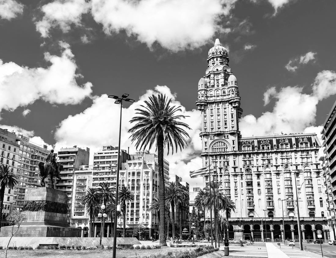 Noah Jigsaw Puzzle Cypress trees in the water of the Caddo Lake State Park, Texas in black white 1000 pieces