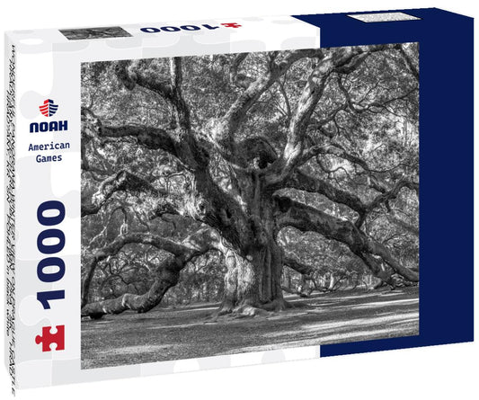 Noah Jigsaw Puzzle WONDERFUL PANORAMA WINTER VIEW ON PRAGUE CASTLE, HRADCANY, CZECH REPUBLIC, ZIMNÍ PRAŽSKÝ HRAD, HRADCANY, KRÁSNÝ POHLED in black white 1000 pieces