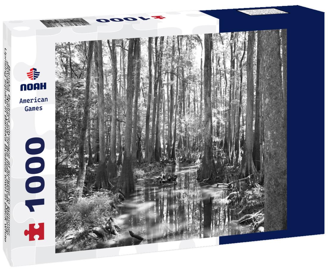 Noah Jigsaw Puzzle Banska Bystrica cityscape at sunrise in summer, Slovakia. Aerial view of the main Slovak National Uprising square in Banska Bystrica town in black white 1000 pieces