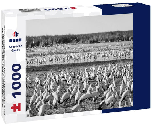 Noah Jigsaw Puzzle The monument at Kwame Nkrumah Memorial Park and Mausoleum, the African landmark in Accra, the capital of Ghana (West Africa) in black white 1000 pieces