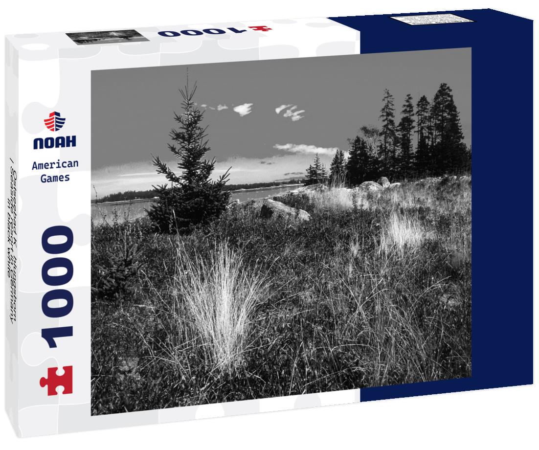 Noah Jigsaw Puzzle Ostseebad Kühlungsborn | Seaside resort in Germany in black white 1000 pieces