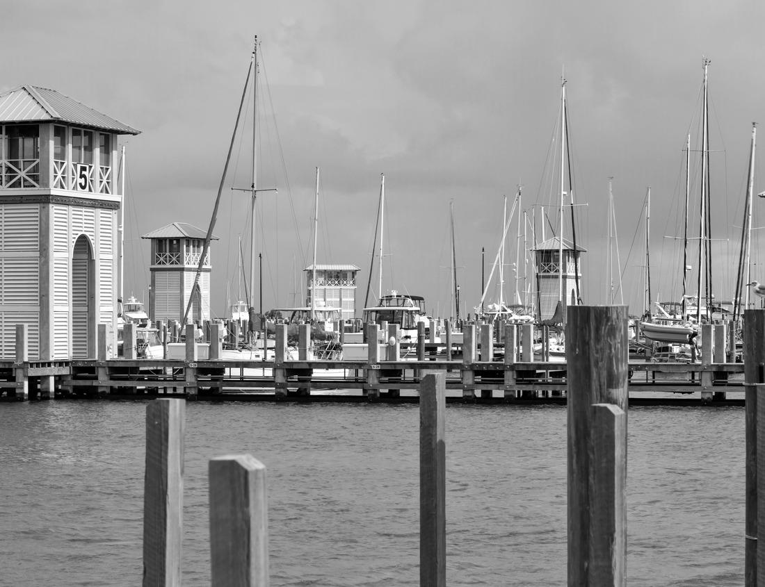 Noah Jigsaw Puzzle Rabat, Morocco. The Mausoleum of Mohammed V located across from the Hassan Tower Square in black white 1000 pieces