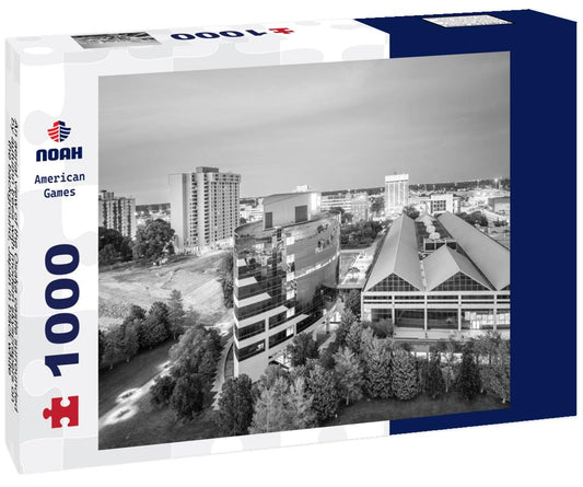 Noah Jigsaw Puzzle An aerial view of the Osaka castle surrounded by autumn trees with modern skyscrapers on the background, Japan in black white 1000 pieces