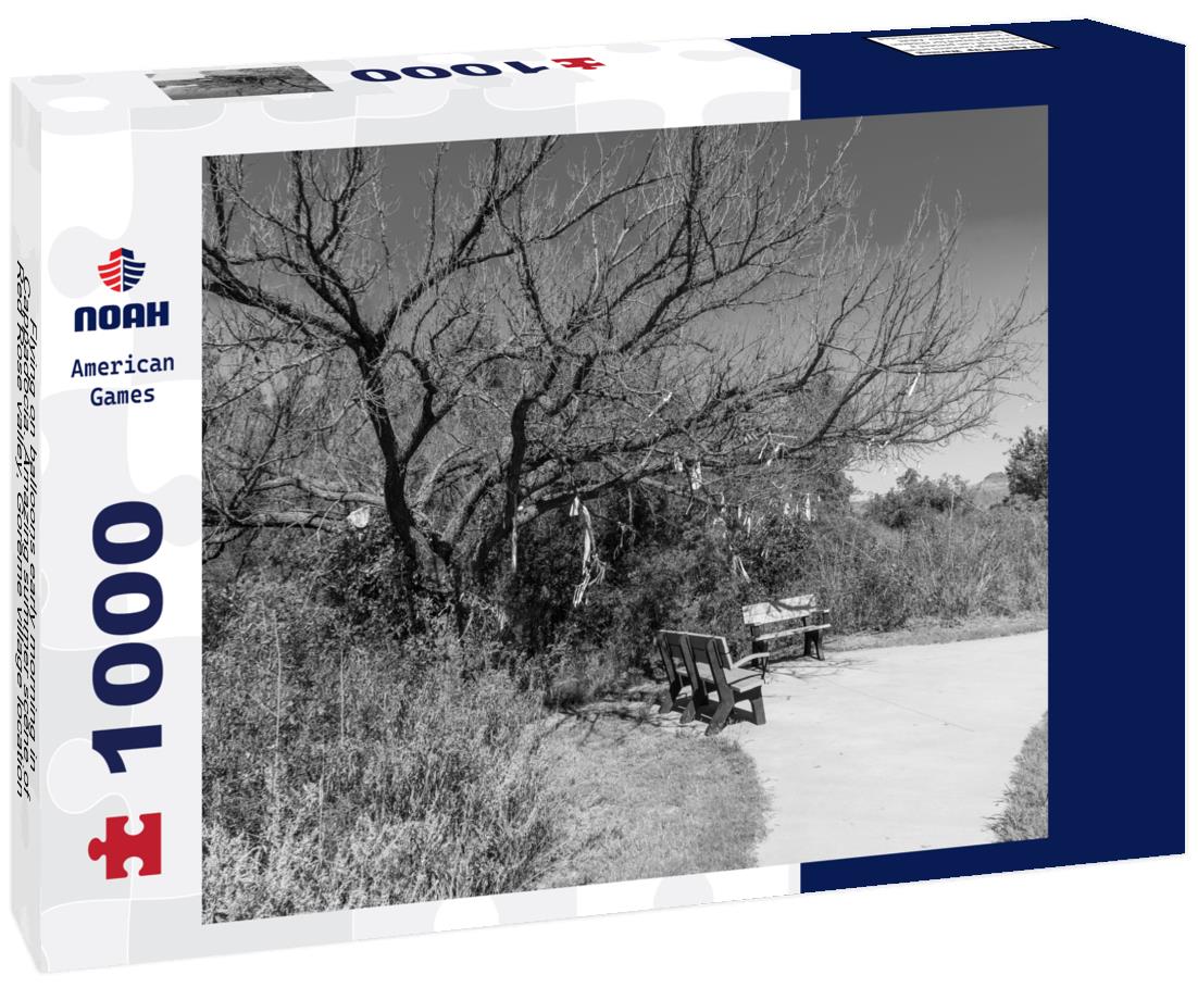 Noah Jigsaw Puzzle Flying on balloons early morning in Cappadocia. Amazing summer scene of Red Rose valley, Goreme village location, Turkey, Asia in black white 1000 pieces