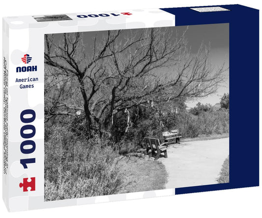 Noah Jigsaw Puzzle Flying on balloons early morning in Cappadocia. Amazing summer scene of Red Rose valley, Goreme village location, Turkey, Asia in black white 1000 pieces