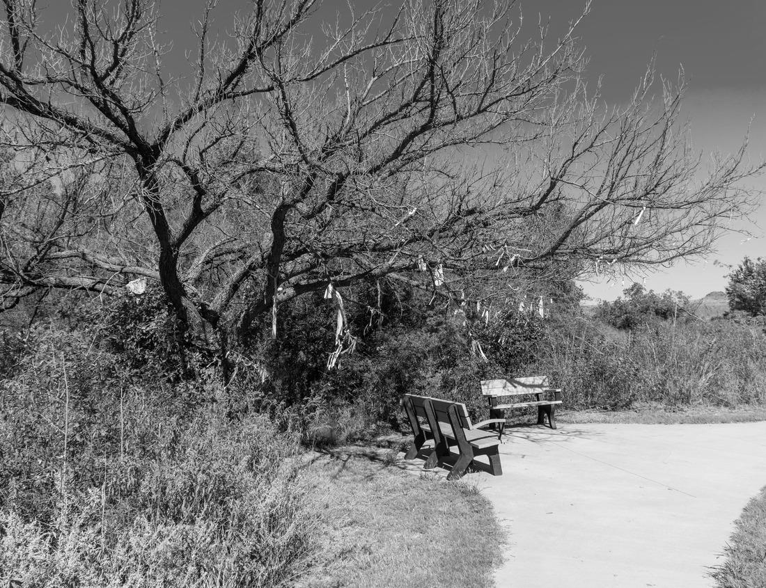 Noah Jigsaw Puzzle Flying on balloons early morning in Cappadocia. Amazing summer scene of Red Rose valley, Goreme village location, Turkey, Asia in black white 1000 pieces