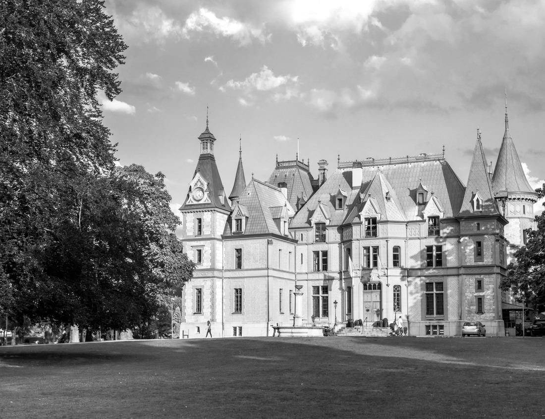 Noah Jigsaw Puzzle Stone Gate, Krems, Danube, Wachau, Austria in black white 1000 pieces