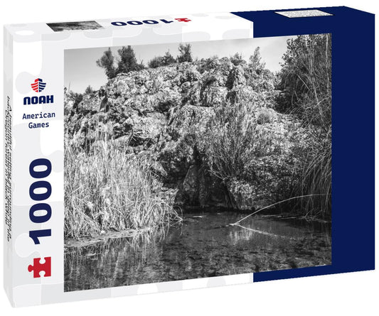 Noah Jigsaw Puzzle A beautiful setting surrounding a backcountry waterfall in deep in the Oregon forest in black white 1000 pieces