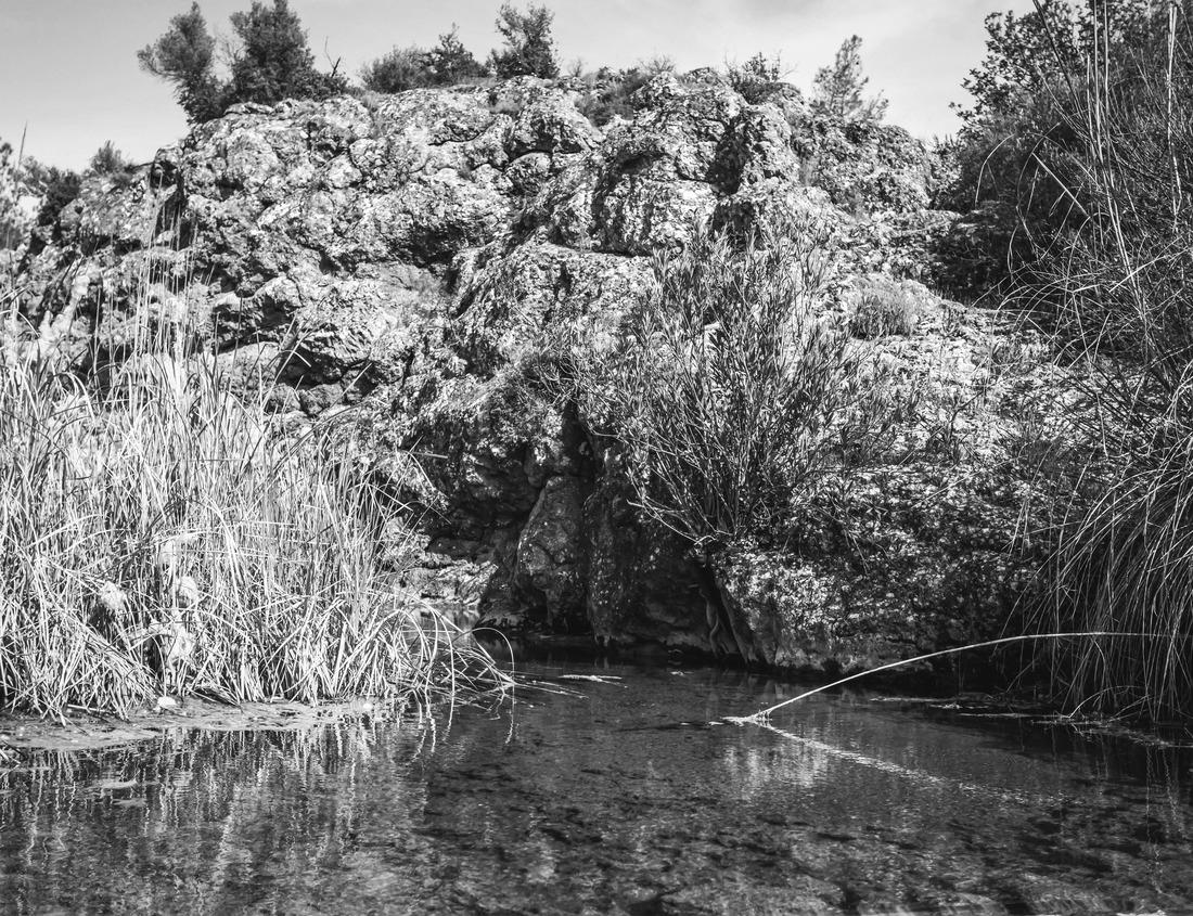 Noah Jigsaw Puzzle A beautiful setting surrounding a backcountry waterfall in deep in the Oregon forest in black white 1000 pieces