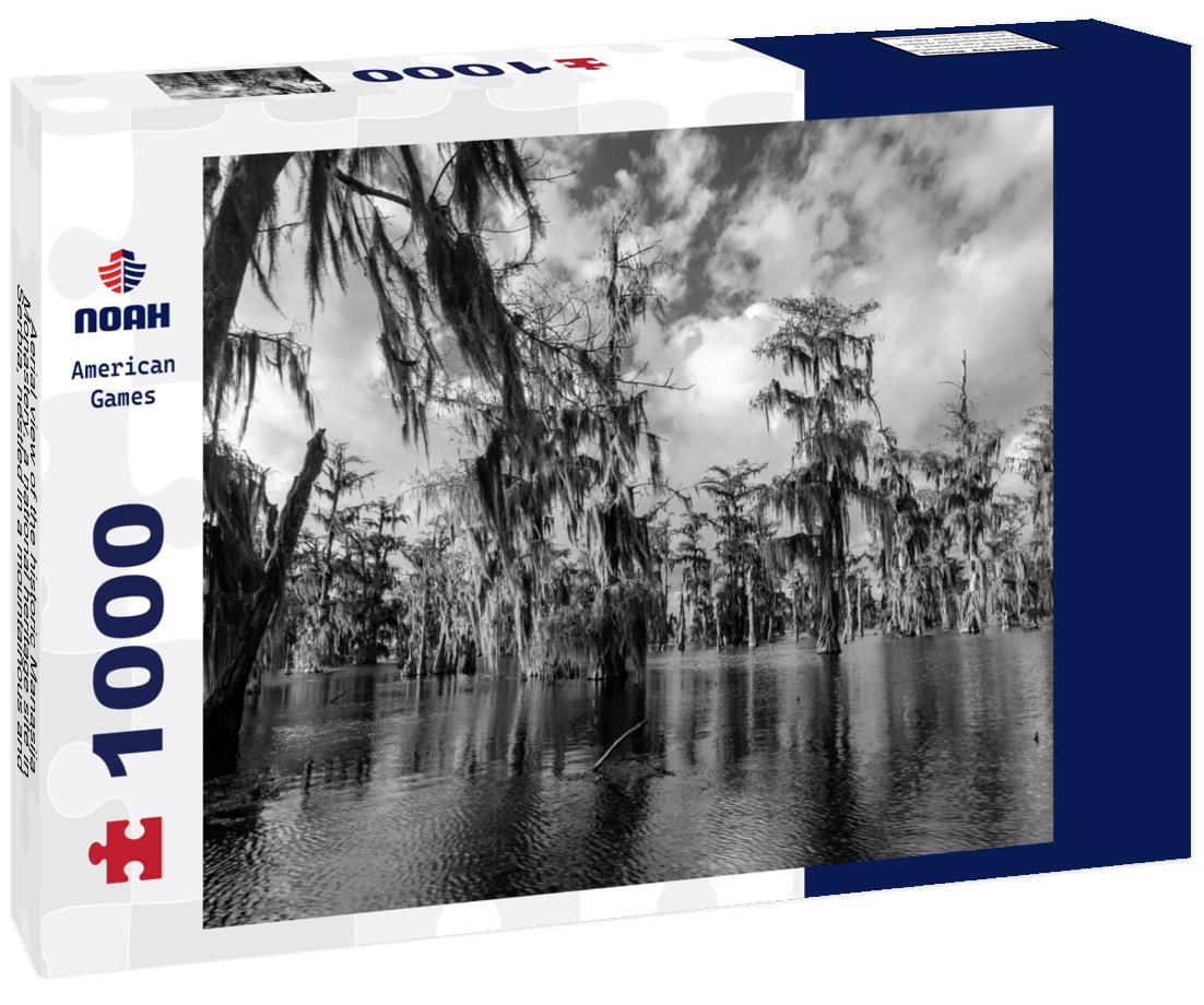 Noah Jigsaw Puzzle Aerial view of the historic Manasija Monastery, a national heritage site in Serbia, nestled in a mountainous and forested landscape in black white 1000 pieces