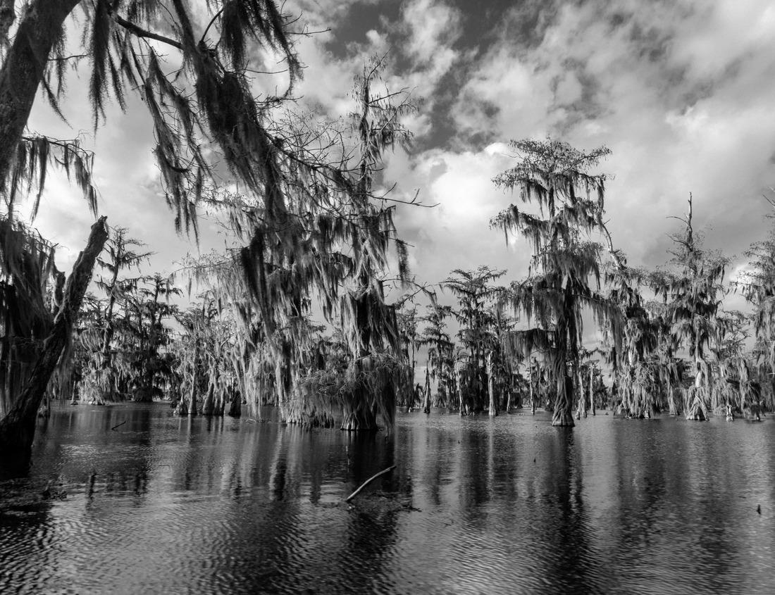 Noah Jigsaw Puzzle Aerial view of the historic Manasija Monastery, a national heritage site in Serbia, nestled in a mountainous and forested landscape in black white 1000 pieces