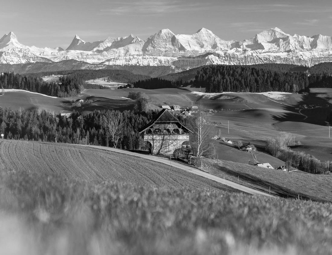 Noah Jigsaw Puzzle Naples, Italy city skyline overlooking the port towards Vesuvius at dawn in black white 1000 pieces