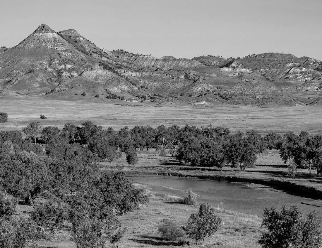 Noah Jigsaw Puzzle Scenic byway, back roads through rural Vermont, USA in autumn time in black white 1000 pieces