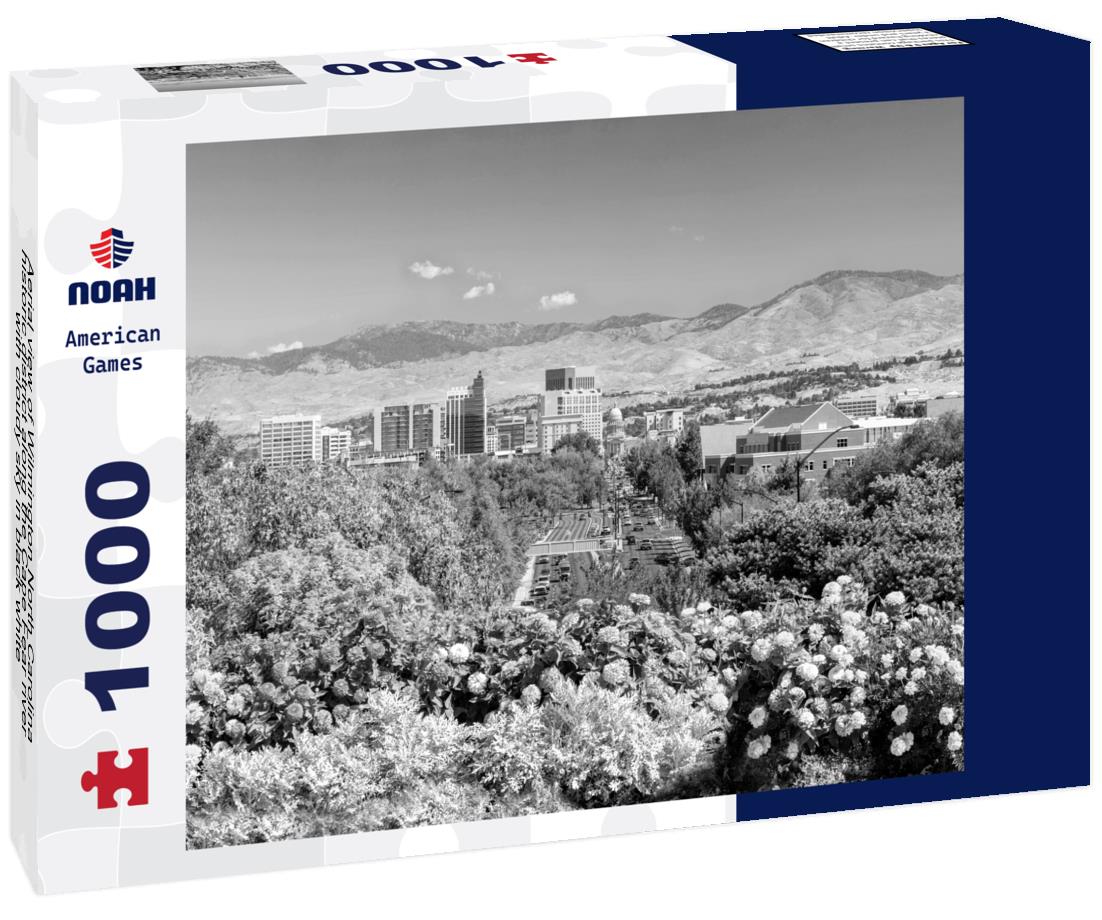 Noah Jigsaw Puzzle Aerial view of Wilmington North Carolina historic district along the Cape Fear river with cloudy sky in black white 1000 pieces