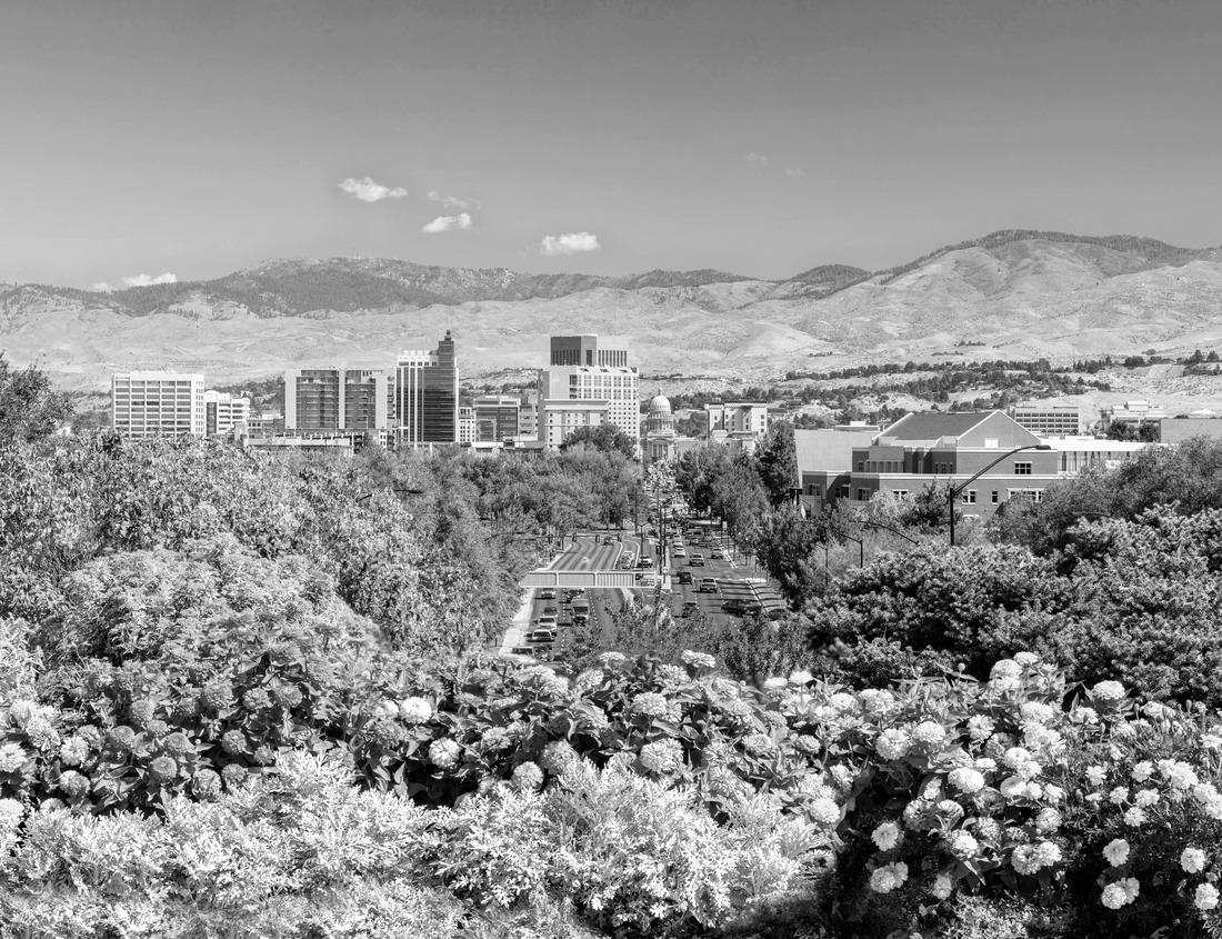 Noah Jigsaw Puzzle Aerial view of Wilmington North Carolina historic district along the Cape Fear river with cloudy sky in black white 1000 pieces