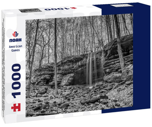 Noah Jigsaw Puzzle Colosseum morning in Rome, Italy. Exterior of the Rome Colosseum. Colosseum is one of the main attractions of Rome (Roma) and Italy. Architecture and landmark of Rome and Italy in black white 1000 pieces