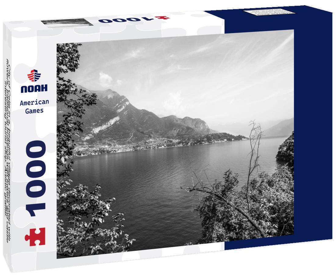 Noah Jigsaw Puzzle City of Celje in a, beautiful village decorated with flowers, traditional buildings with towers and castle, interesting tourist stop. Artistic graffiti. Main street with church and gold statue in black white 1000 pieces