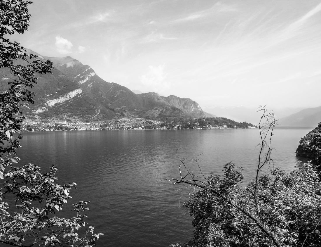 Noah Jigsaw Puzzle City of Celje in a, beautiful village decorated with flowers, traditional buildings with towers and castle, interesting tourist stop. Artistic graffiti. Main street with church and gold statue in black white 1000 pieces