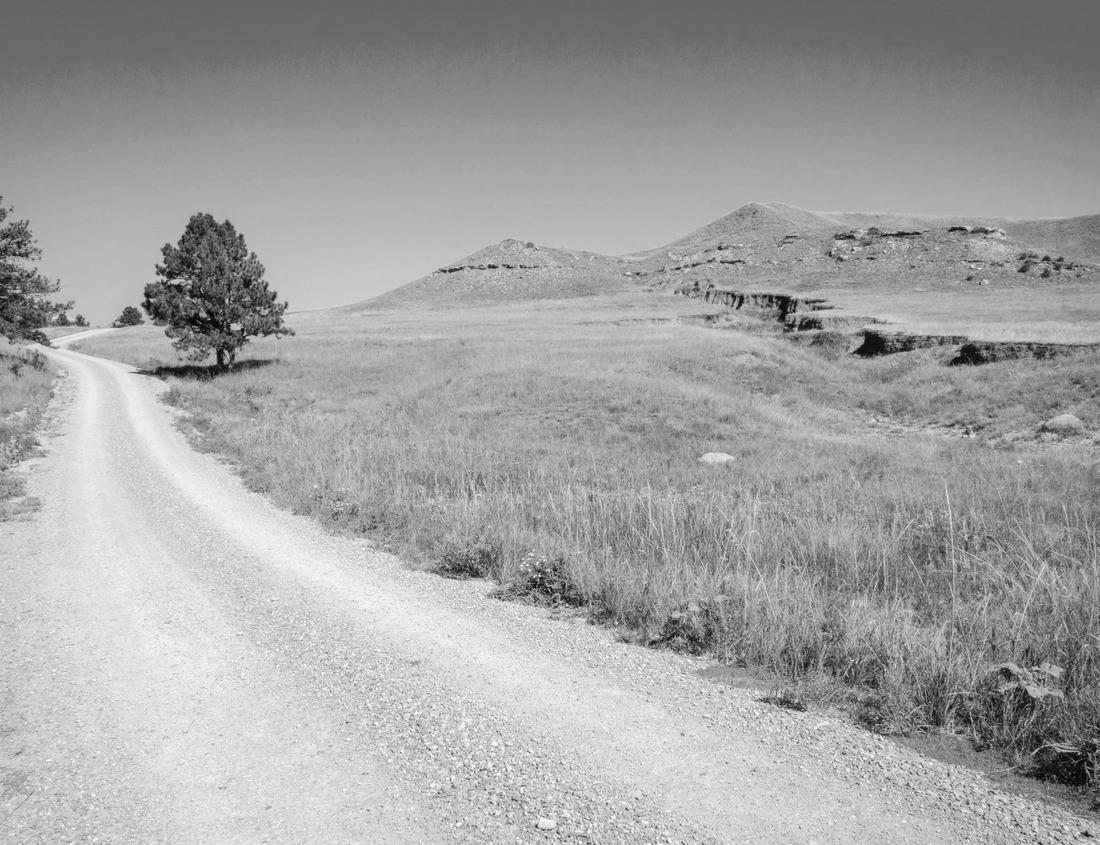 Noah Jigsaw Puzzle Carnegie Mellon University in Pittsburgh, Pennsylvania is a private research university based in Pittsburgh, Pennsylvania in black white 1000 pieces