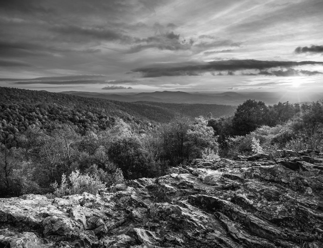 Noah Jigsaw Puzzle Aerial view of Bergen city, Norway in black white 1000 pieces
