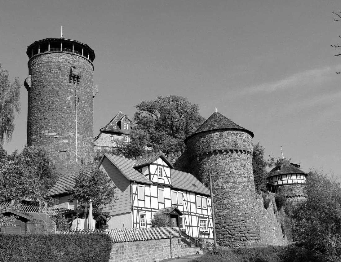 Noah Jigsaw Puzzle A shot from within the forest on Devil's lake capturing the beauty of autumn in Wisconsin through the beautiful hues of yellow and gold in black white 1000 pieces