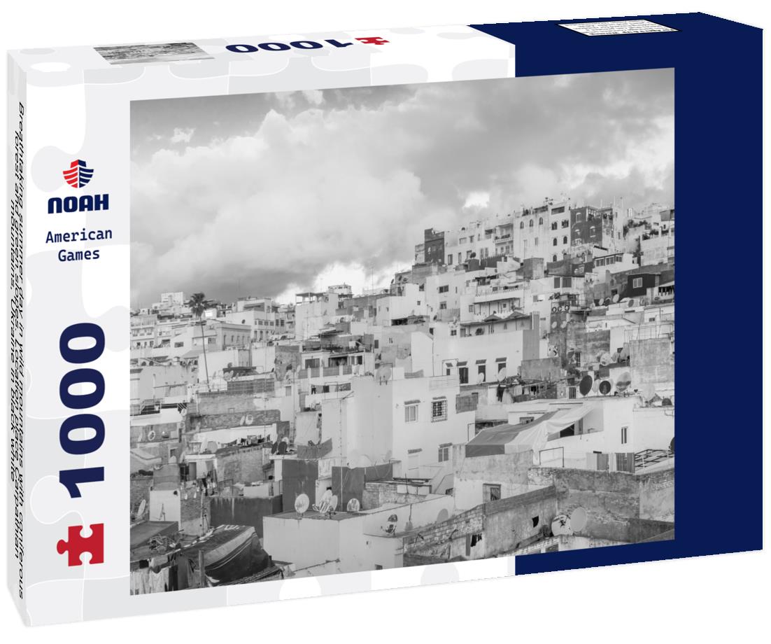 Noah Jigsaw Puzzle Breathtaking summer day in wild mountains with coniferous forest and green slopes. Location place Carpathian mountains, Ukraine in black white 1000 pieces