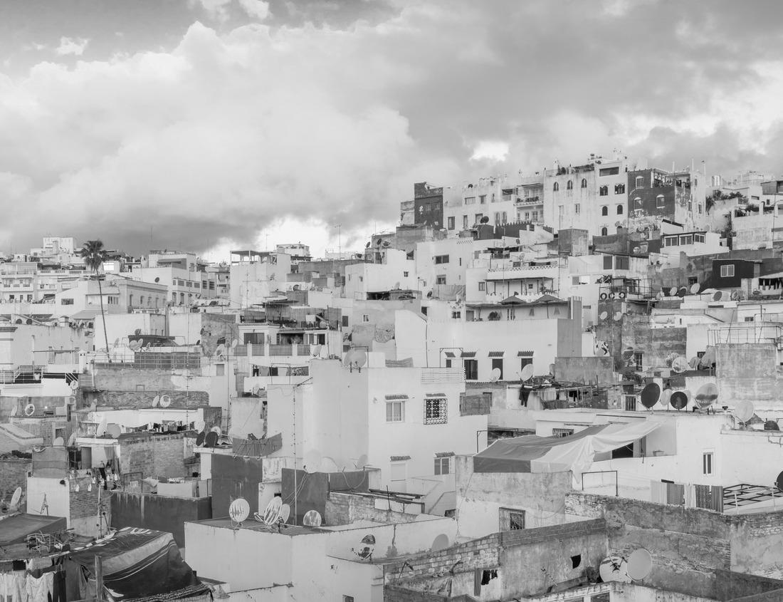 Noah Jigsaw Puzzle Breathtaking summer day in wild mountains with coniferous forest and green slopes. Location place Carpathian mountains, Ukraine in black white 1000 pieces