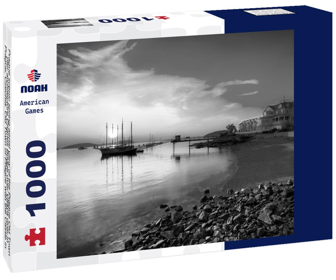 Noah Jigsaw Puzzle Prague scenic spring aerial view of the Prague Old Town pier architecture Charles Bridge over Vltava river in Prague, Czechia. Old Town of Prague with the Castle in the background, Czech Republic in black white 1000 pieces