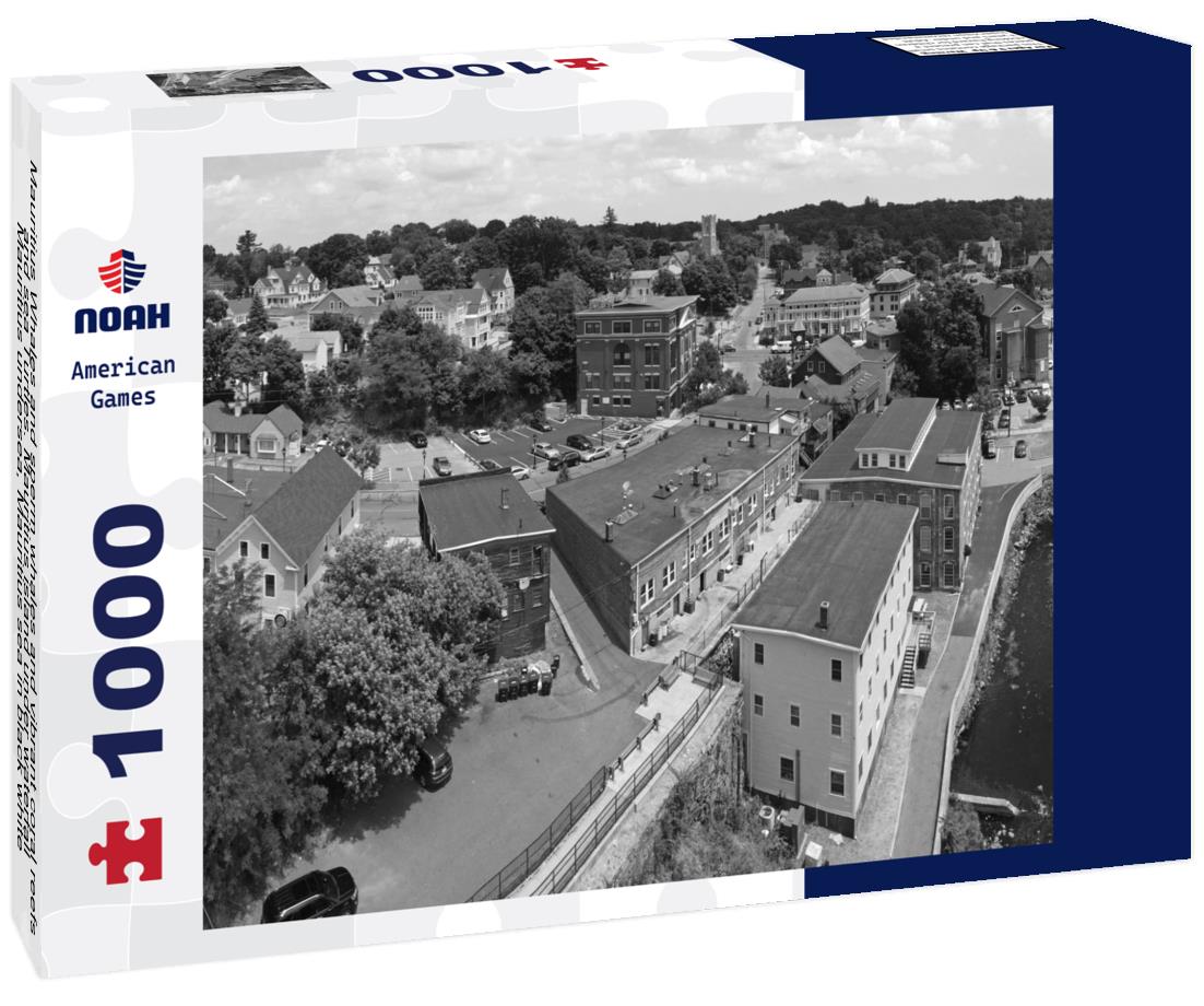 Noah Jigsaw Puzzle Mauritius Whales and sperm whales and vibrant coral reefs and sea Turtles. Mauritius island under waterfall, Mauritius undersea, Mauritius sea in black white 1000 pieces