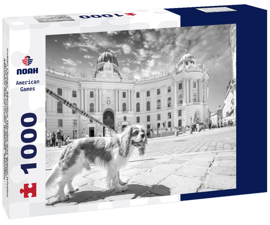 Noah Jigsaw Puzzle Indian Ocean, Mauritius Whales and sperm whales and vibrant coral reefs and sea Turtles. Mauritius island under waterfall, Mauritius undersea, Mauritius in black white 1000 pieces