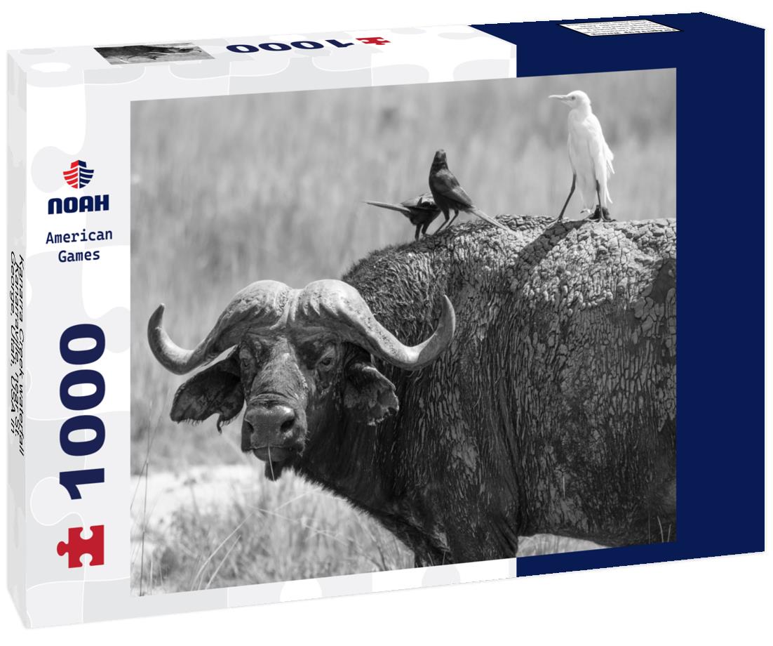 Noah Jigsaw Puzzle Kanarra Creek waterfall, Kanarraville, near St. George, Utah, USA in black white 1000 pieces