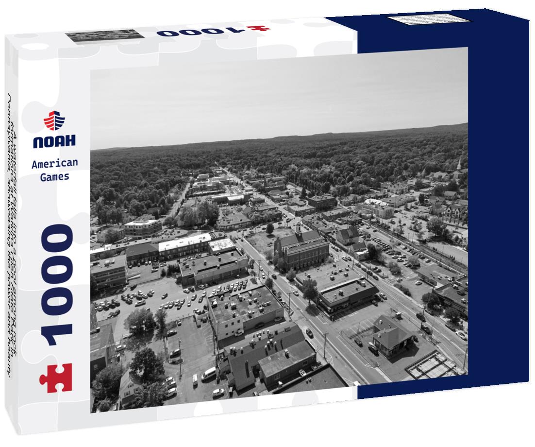 Noah Jigsaw Puzzle A waterfall falls into a pool among rock formations at Watkins Glen State Park in Pennsylvania, showcasing the power and beauty of nature, USA in black white 1000 pieces