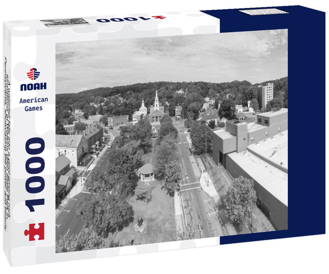 Noah Jigsaw Puzzle A waterfall falls into a pool among rock formations at Watkins Glen State Park in Pennsylvania, showcasing the power and beauty of nature, USA in black white 1000 pieces