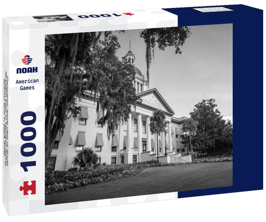 Noah Jigsaw Puzzle Panoramic aerial view of South Royalton town in Vermont during autumn time in black white 1000 pieces