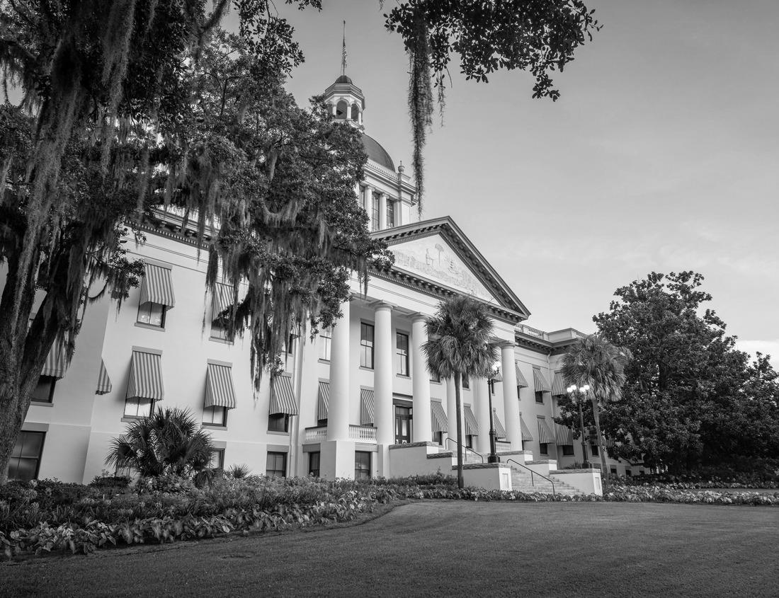Noah Jigsaw Puzzle Panoramic aerial view of South Royalton town in Vermont during autumn time in black white 1000 pieces