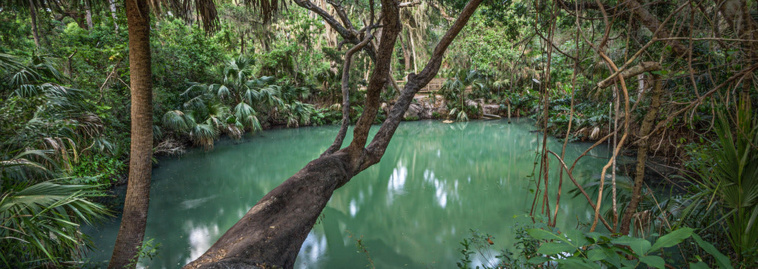 Noah Jigsaw Puzzle Deltona, Florida green spring panorama 1000 pieces