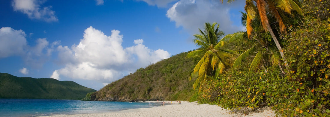 Noah Jigsaw Puzzle Cinnamon Bay Beach in the Virgin Islands National Park on the Caribbean island of St. John in the US Virgin Islands panorama 1000 pieces
