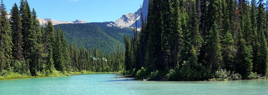 Noah Jigsaw Puzzle Beautiful Lake Emerald located at the Yoho National Park in British Columbia, Canada panorama 1000 pieces