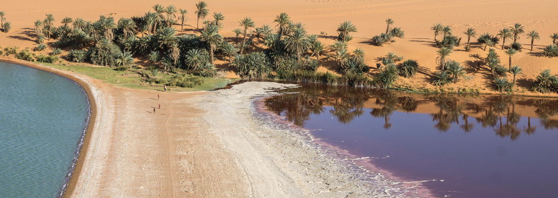 Noah Jigsaw Puzzle View of the Demi saltwater lagoon in the Lakes of Ounianga, Chad, Africa panorama 1000 pieces
