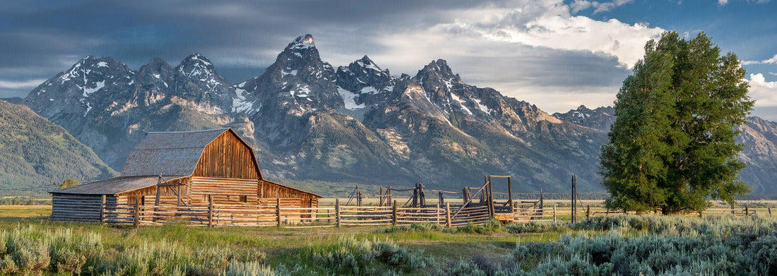 Noah Jigsaw Puzzle Mormon Row in Grand Teton National Park, Wyoming panorama 1000 pieces