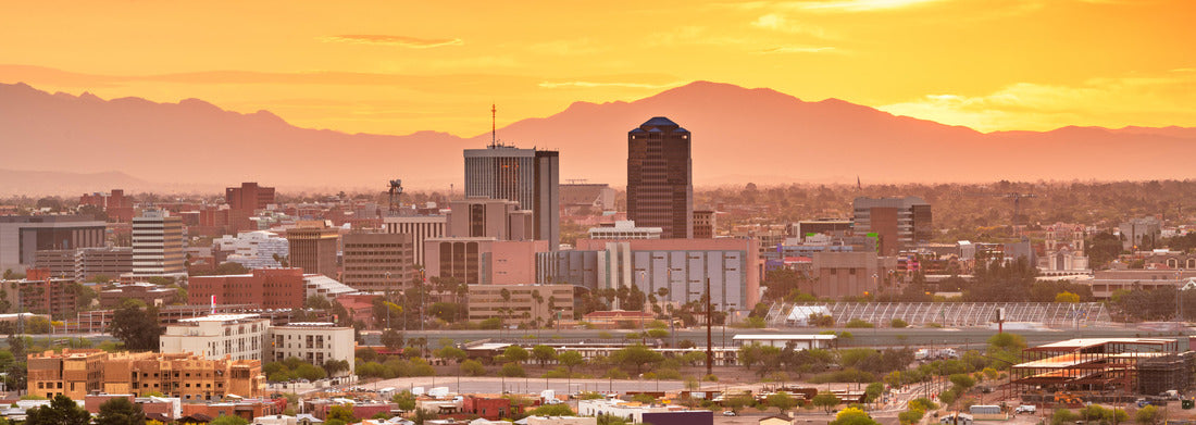 Noah Jigsaw Puzzle Tucson, Arizona, USA downtown city skyline with mountains at twilight panorama 1000 pieces