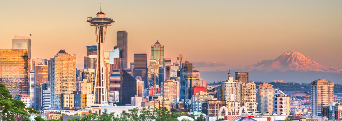 Noah Jigsaw Puzzle Seattle, Washington, USA downtown city skyline at dusk panorama 1000 pieces