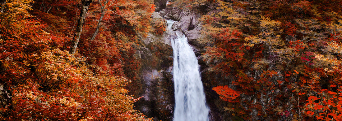 Noah Jigsaw Puzzle Famous Akiu Waterfall in Akiu Osen with vibrant red autumn forest, Sendai - Japan panorama 1000 pieces